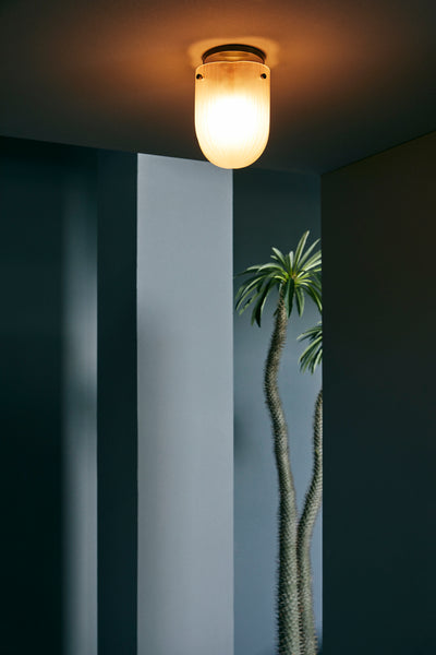 Ceiling light fixture with a palm tree in the background