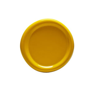 Rolled Rim Snack Plate